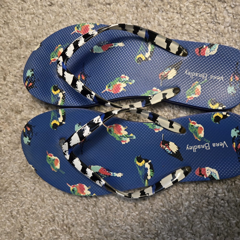 Vera Bradley Blue Cartoon Print Flip Flops